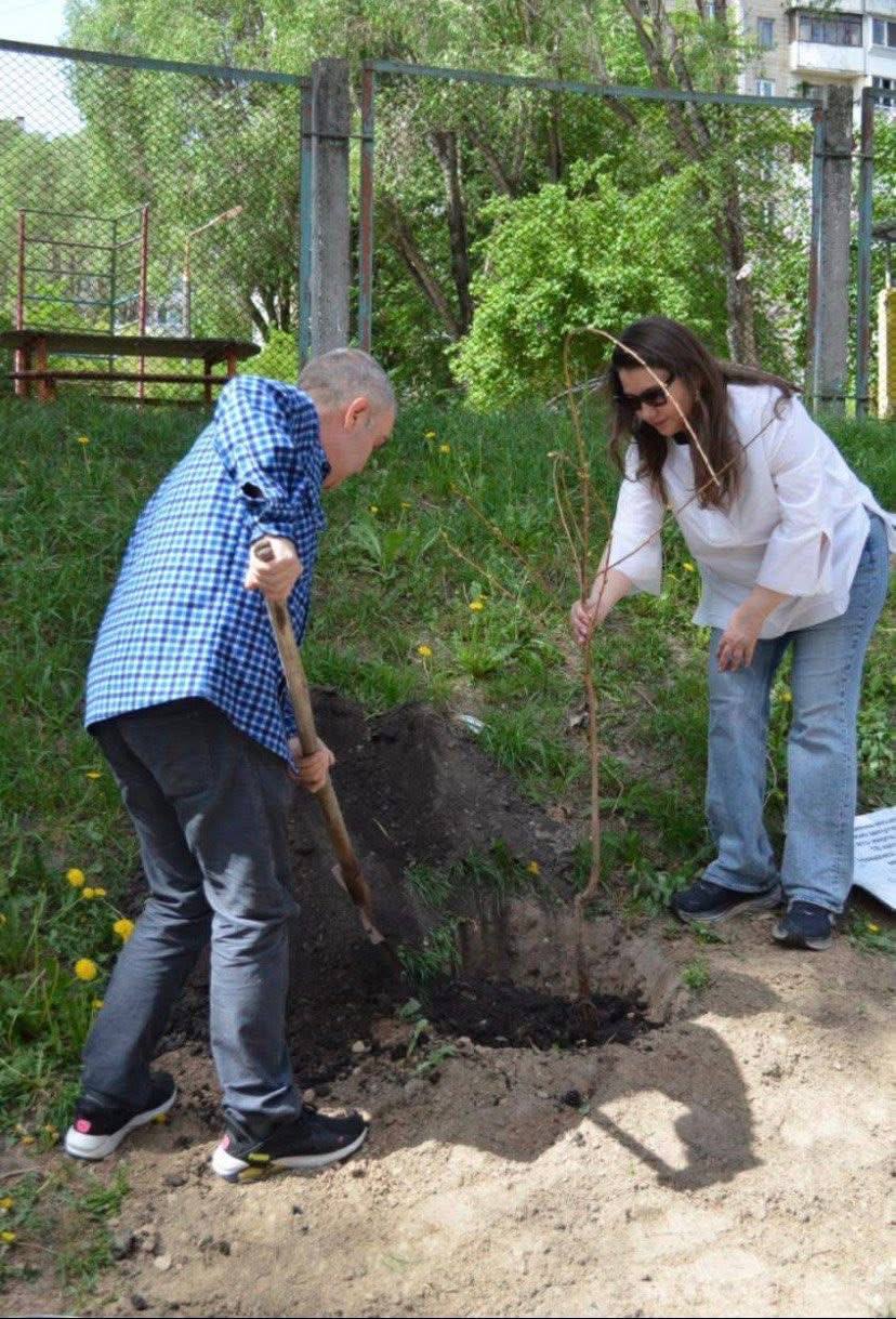 У Києві з'явилась алея плакучих сакур. Фото: facebook.com/kyiv.city
