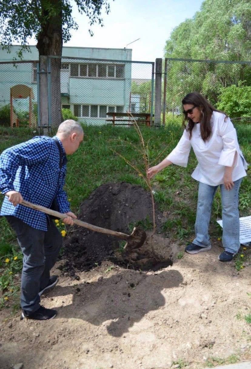У Києві з'явилась алея плакучих сакур. Фото: facebook.com/kyiv.city