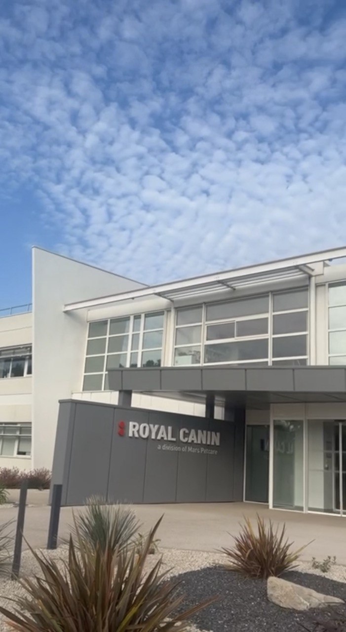 Як живуть собаки і коти у центрі Royal Canin. Фото: 