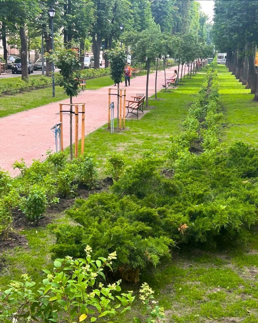 Липський бульвар. Фото: facebook.com/zelenbud
