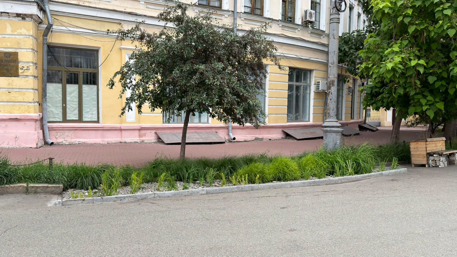 Дощовий садок на 