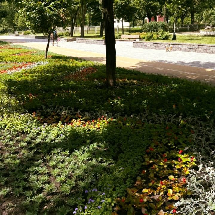 Квіткові композиції до Дня Конституції України. Фото: facebook.com/zelenbud