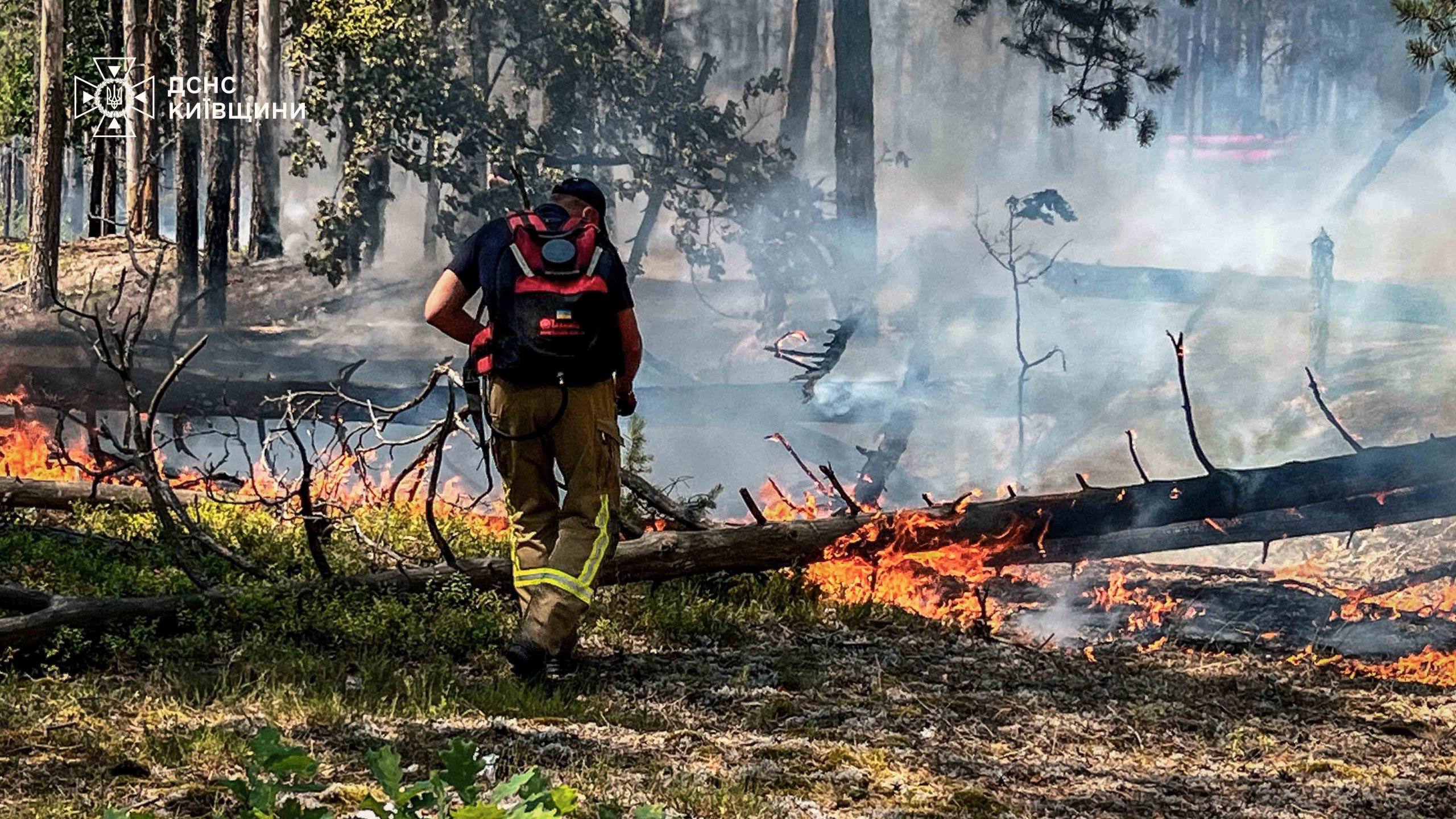 Пожежа у Чорнобильській зоні. Фото: ДСНС