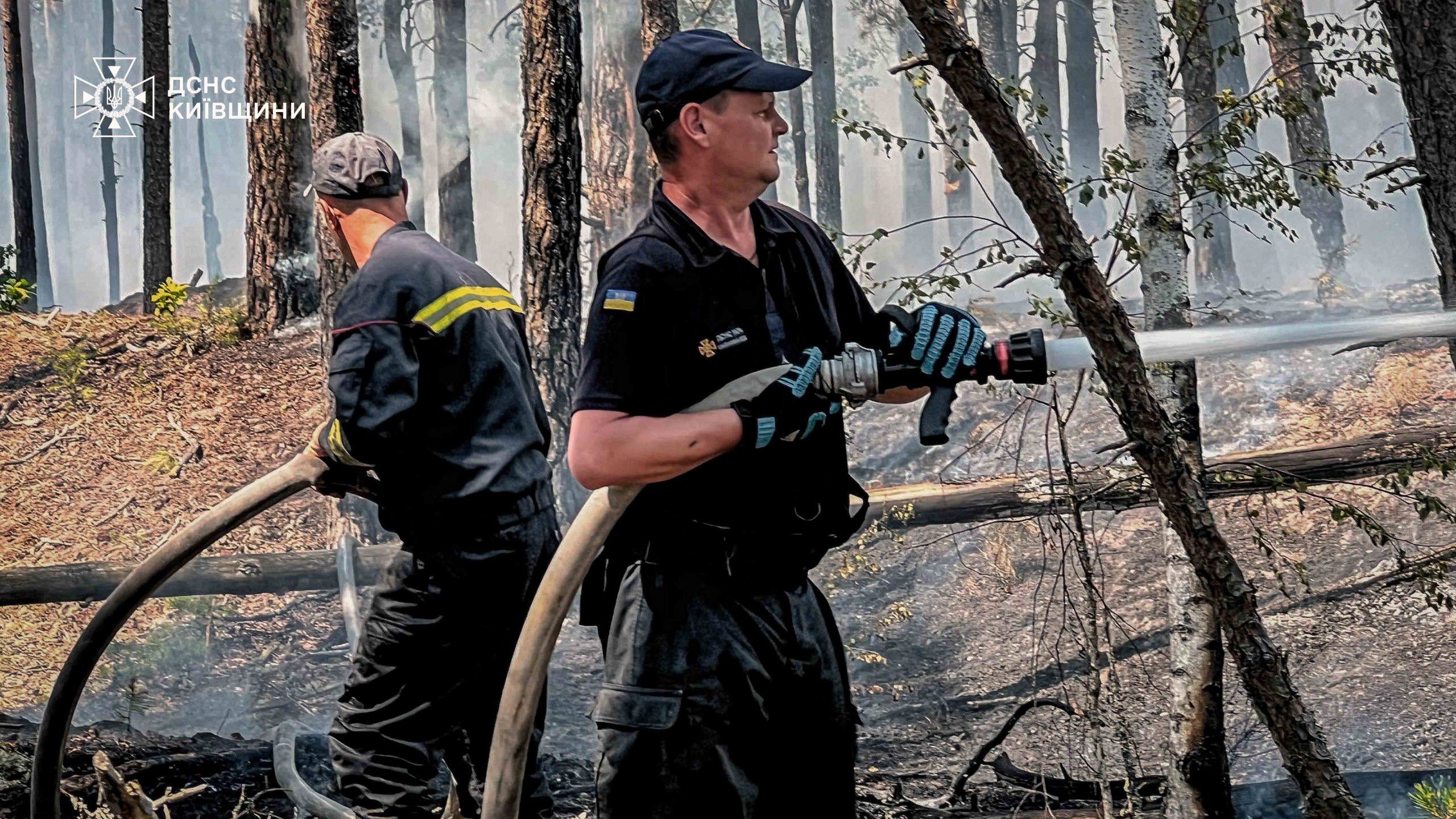 Пожежа у Чорнобильській зоні. Фото: ДСНС