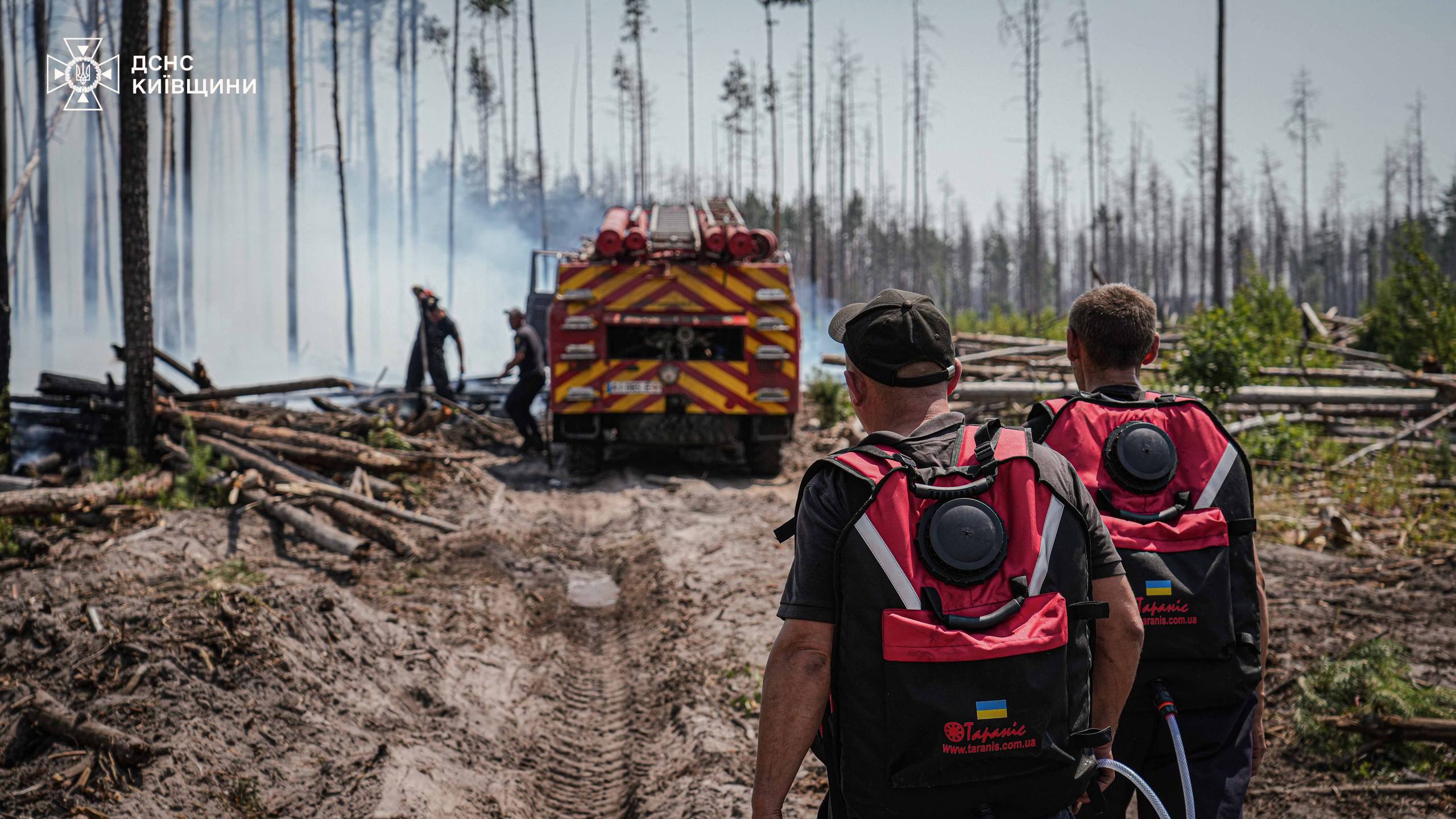 Пожежа у Чорнобильській зоні. Фото: ДСНС