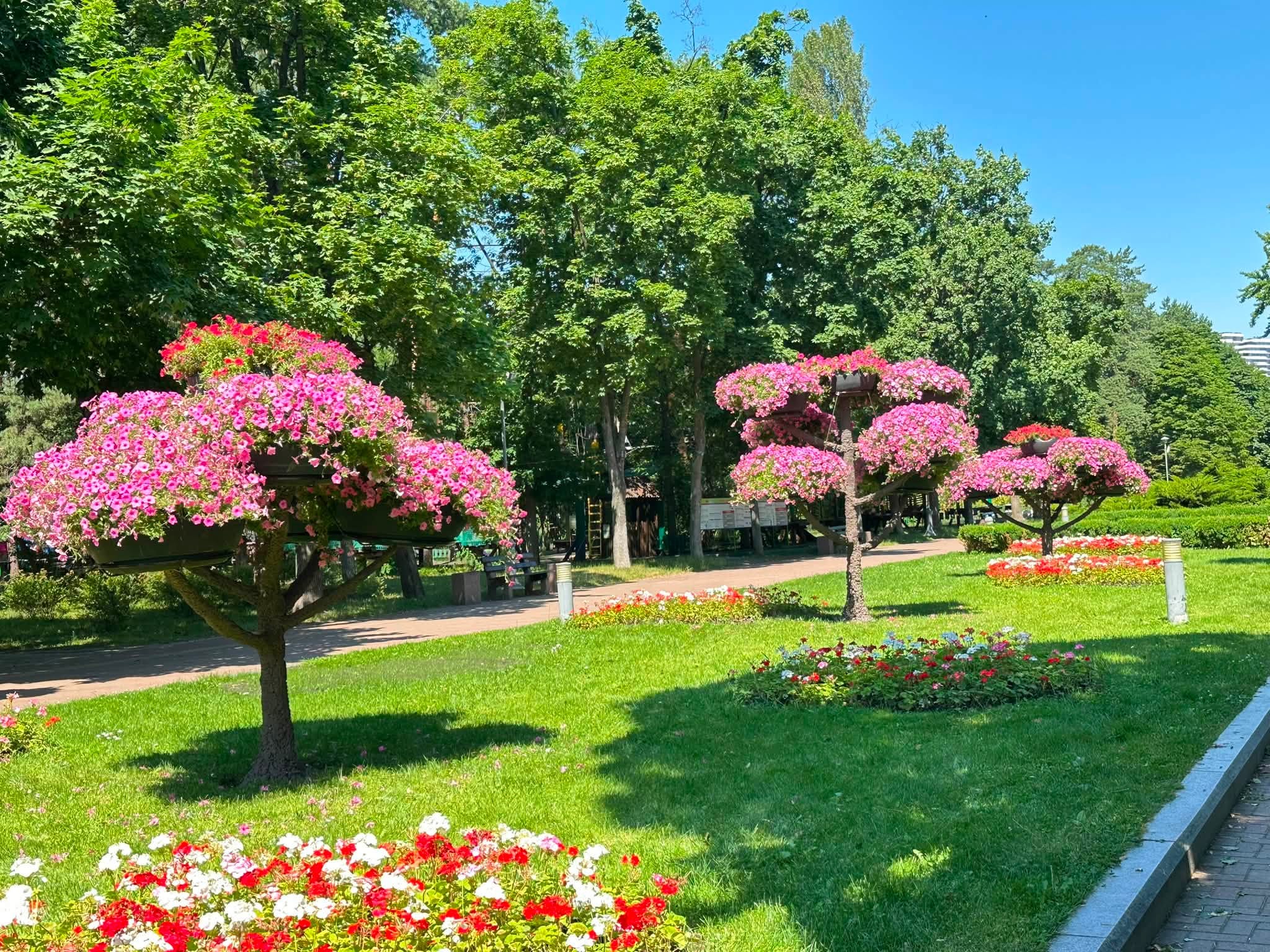 Квітучі дерева з сурфіній у Києві. Фото: facebook.com/dniprouzn