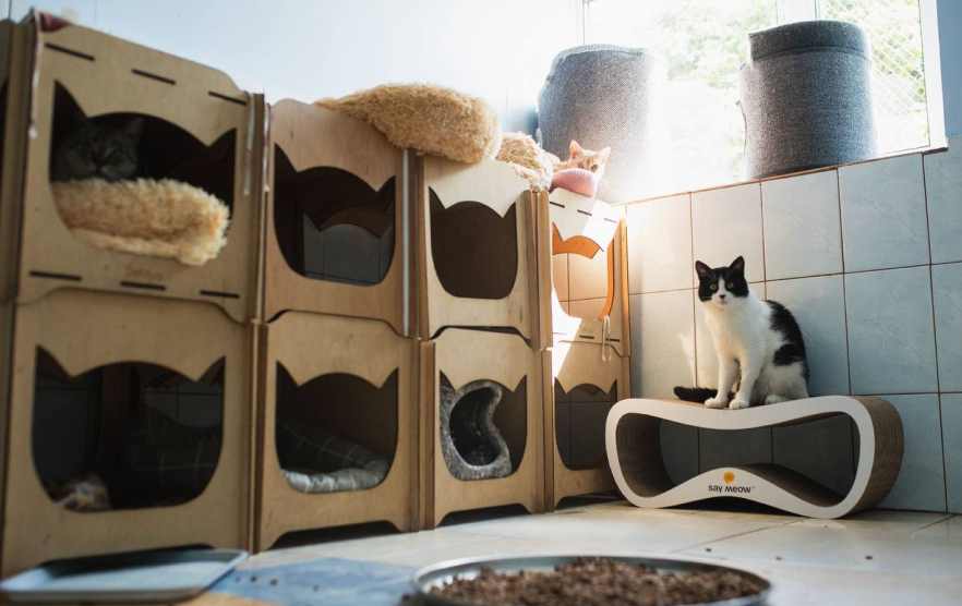 Gostomel Shelter проводить толоку 11 липня