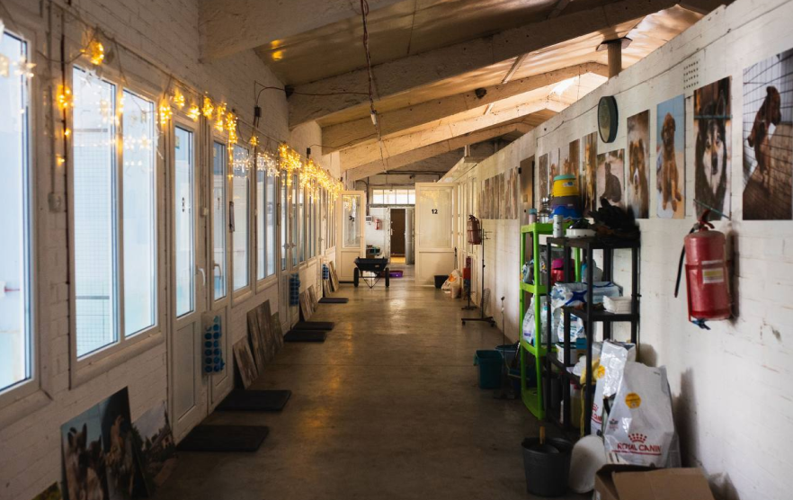 Gostomel Shelter проводить толоку 11 липня