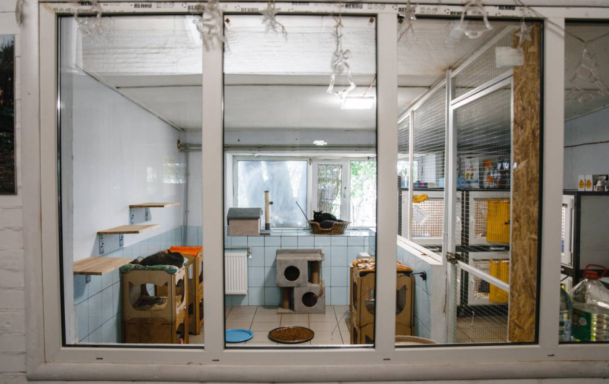 Gostomel Shelter проводить толоку 11 липня