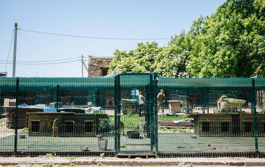 Gostomel Shelter проводить толоку 11 липня