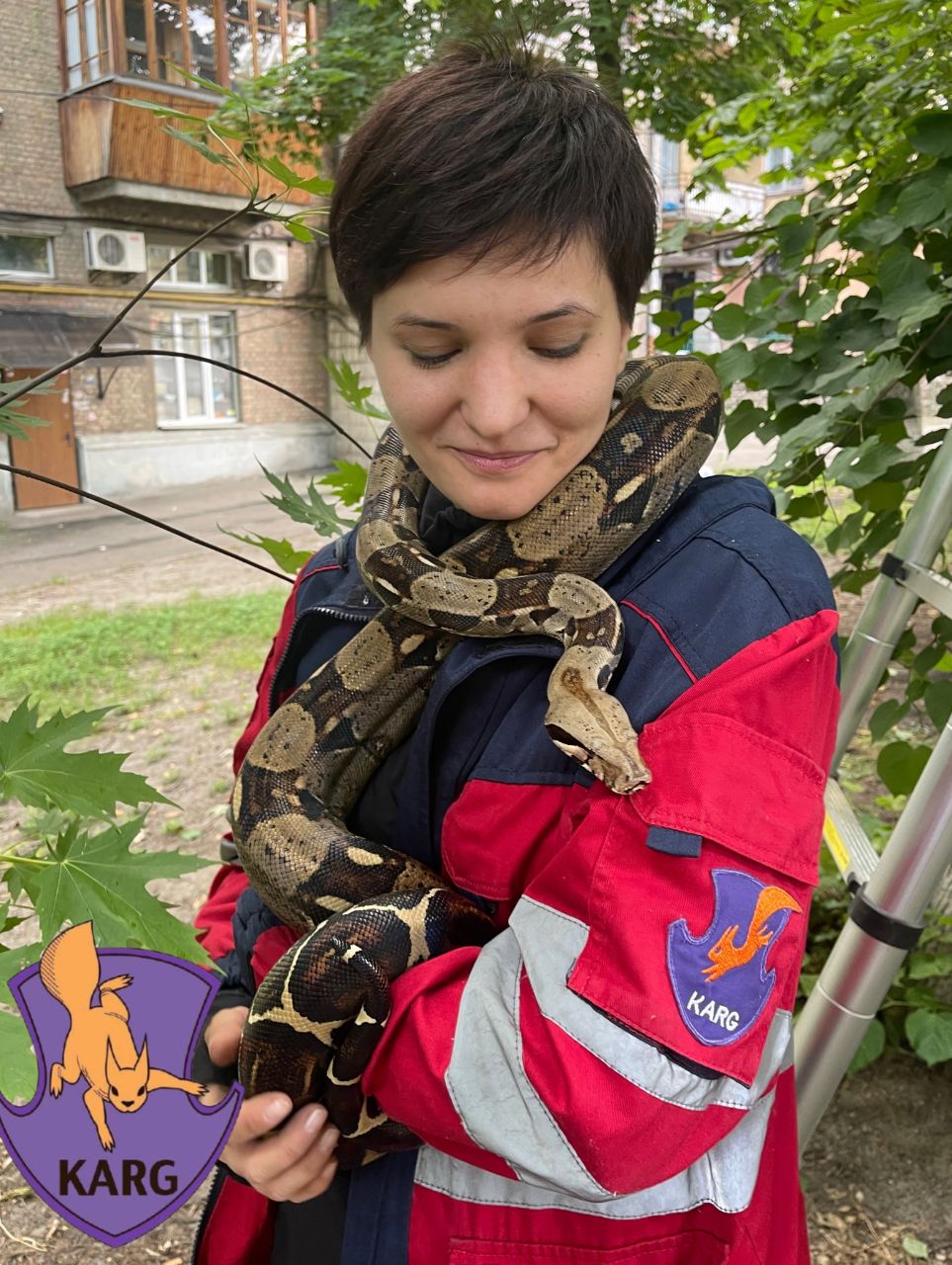 Врятований імператорський удав. Фото: facebook.com/KARG.kyivanimalrescuegroup