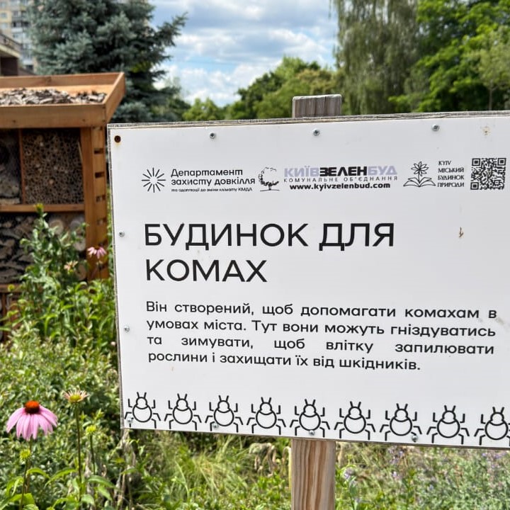 Будиночки для комах. Фото: КМДА