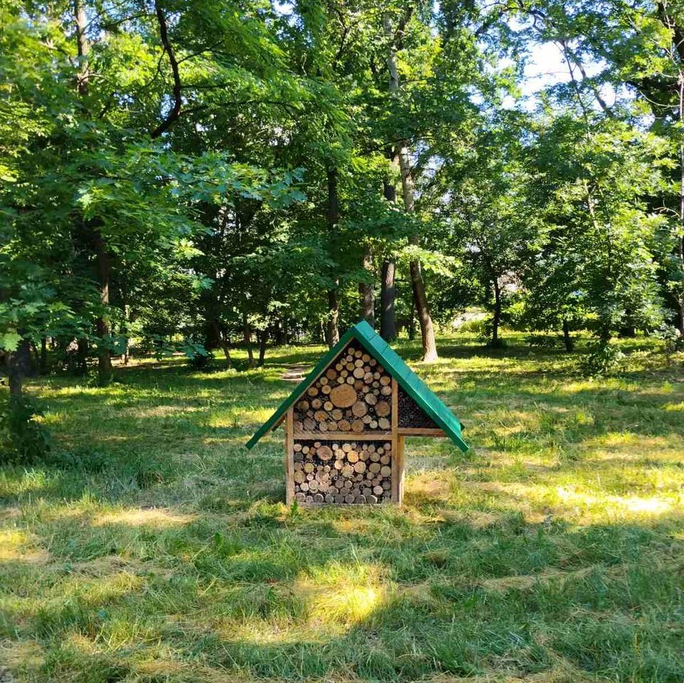 Будиночки для комах. Фото: КМДА