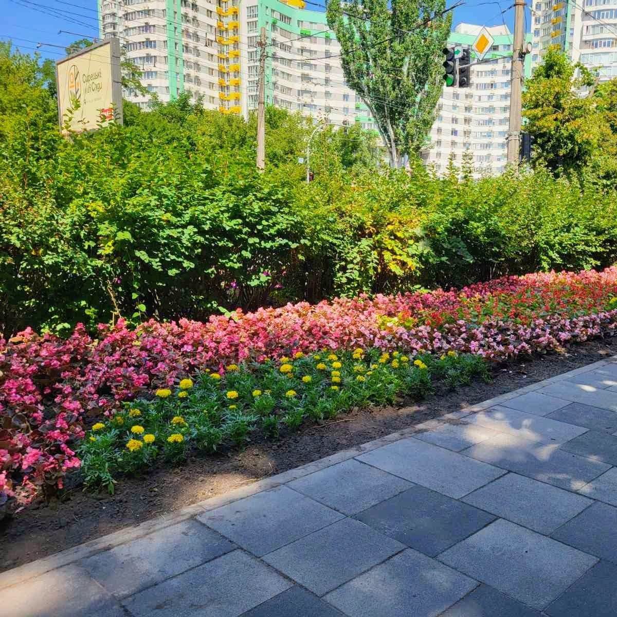 Оновлені клумби на Оболоні. Фото: facebook.com/zelenbud