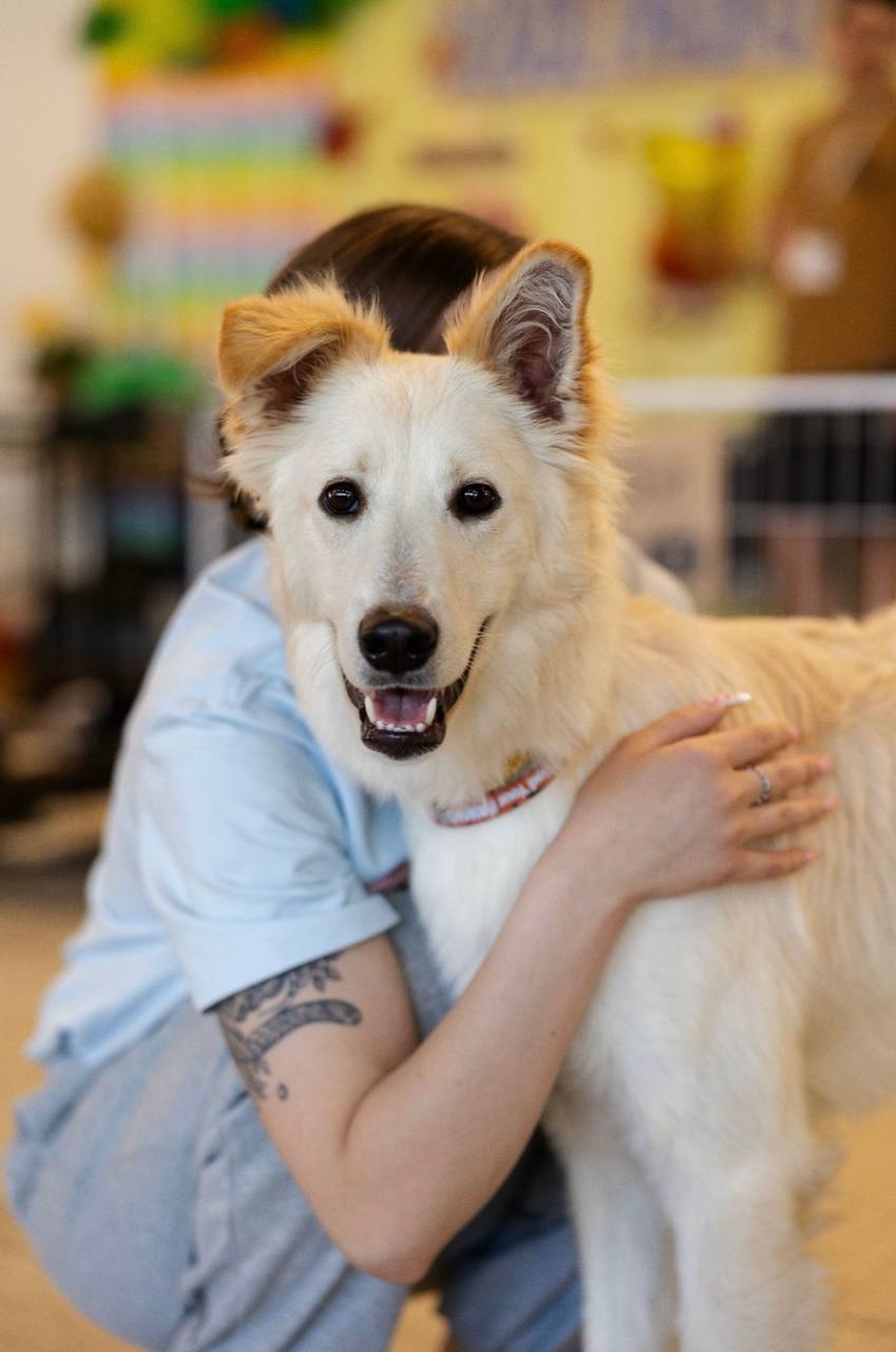 AdoptMe Days. Фото надане організаторами