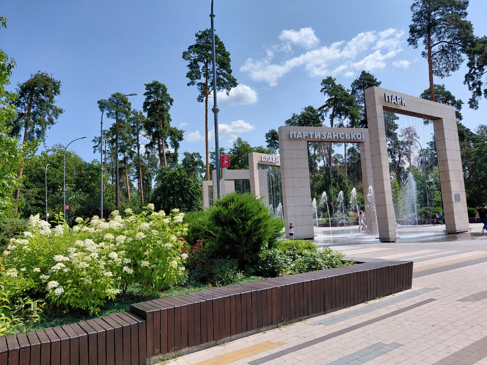 Цвітіння гортензій у Києві. Фото: КМДА