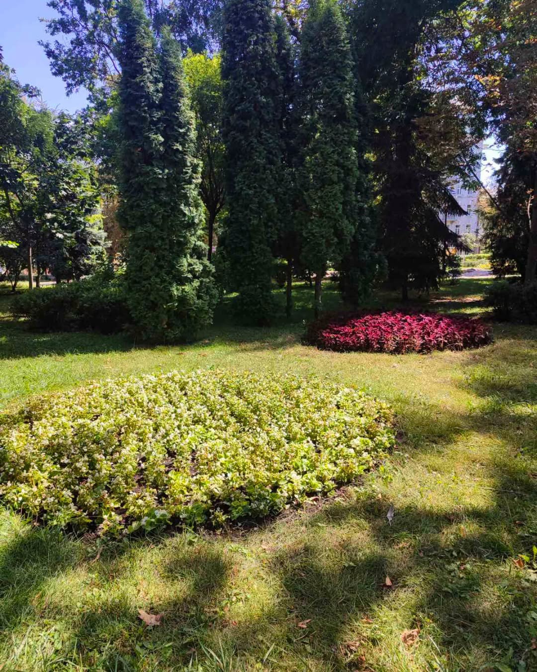 У парку Шевченка оновили клумбу. Фото: facebook.com/zelenbud