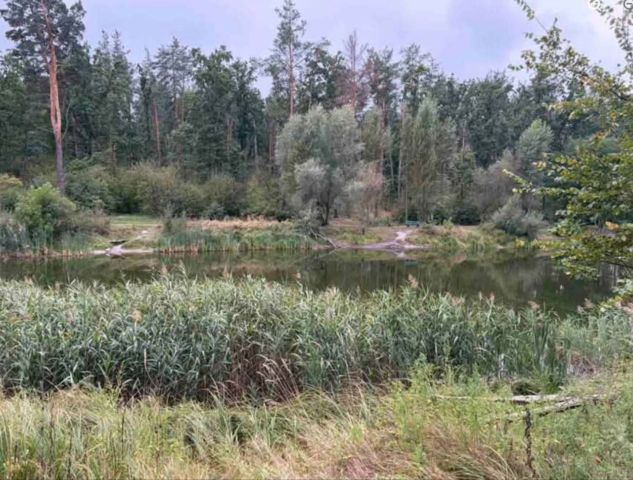 Річка 