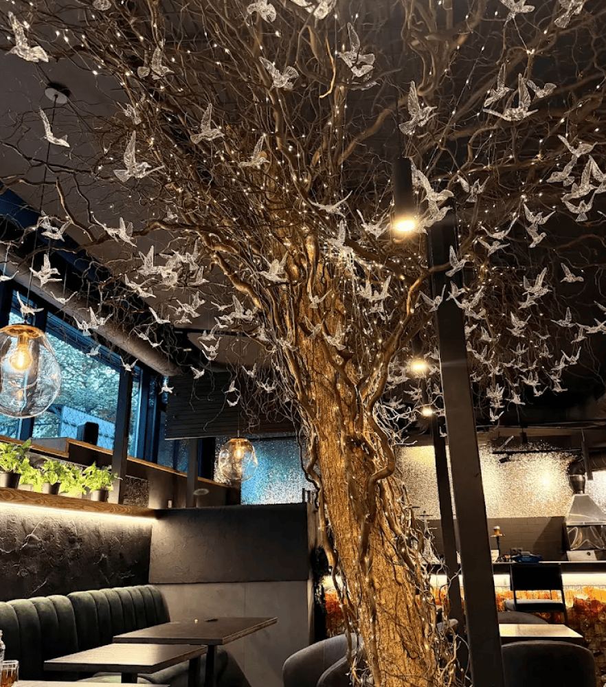 Лаунж-простір EMBAR Terra відкрився у Києві у вересні
