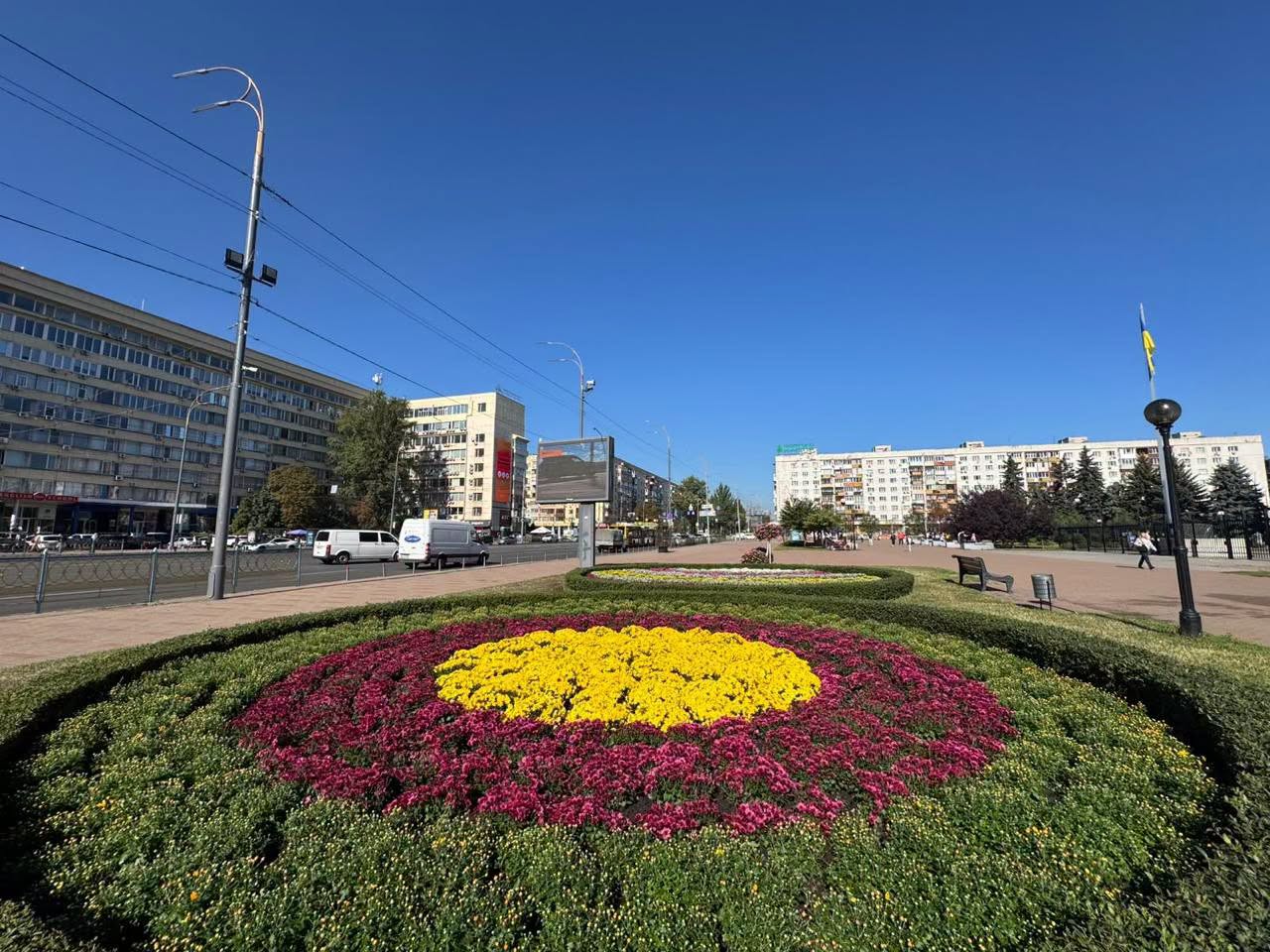 Понад 10 тисяч хризантем прикрасять Київ. Фото: facebook.com/depacckyiv