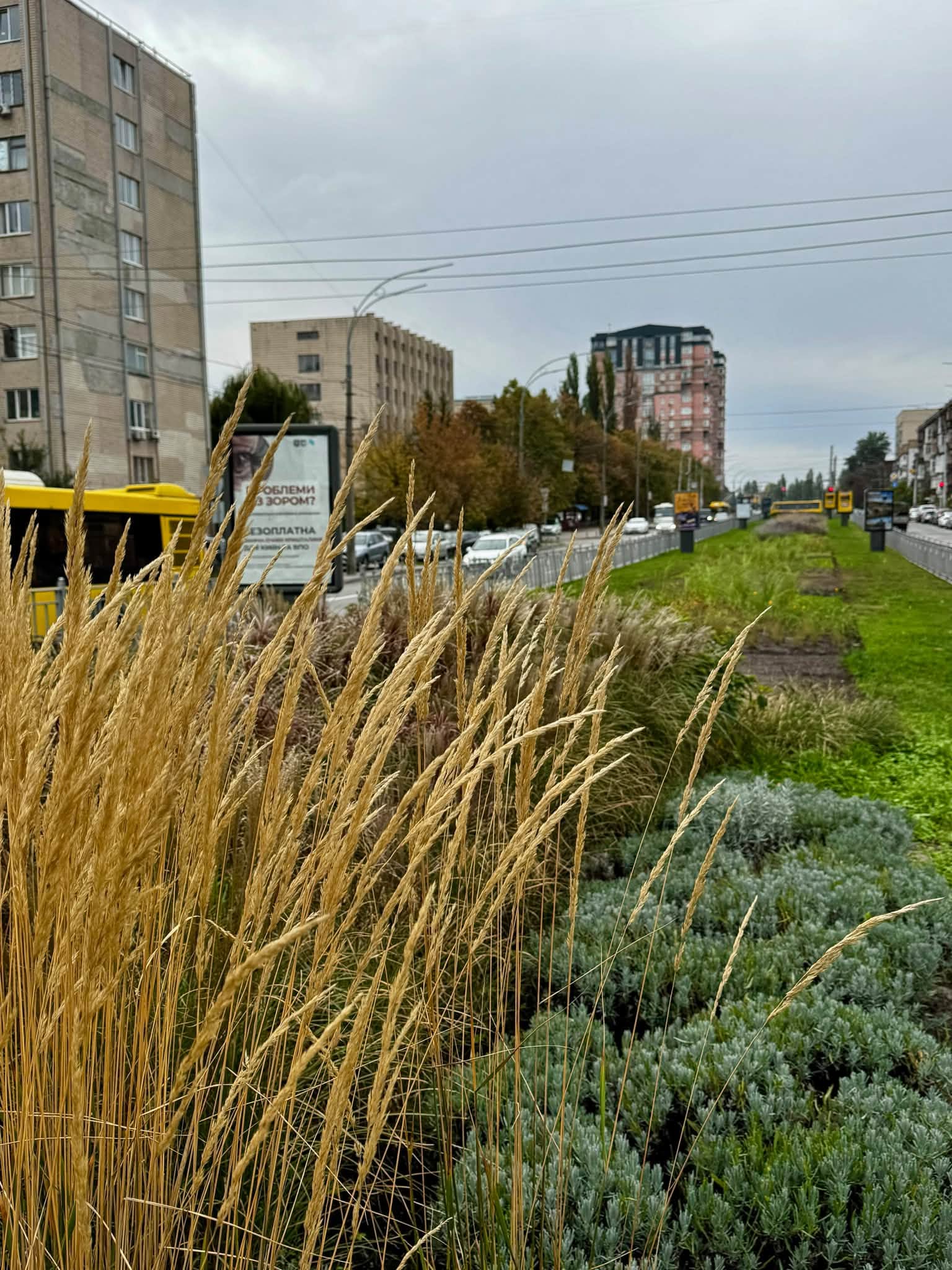 Квітник у стилі нової хвилі. Фото: facebook.com/zelenbud