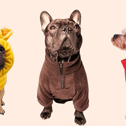Щоб не мерзли хвостики: 16 варіантів теплого одягу для собак від українських брендів - 412x412