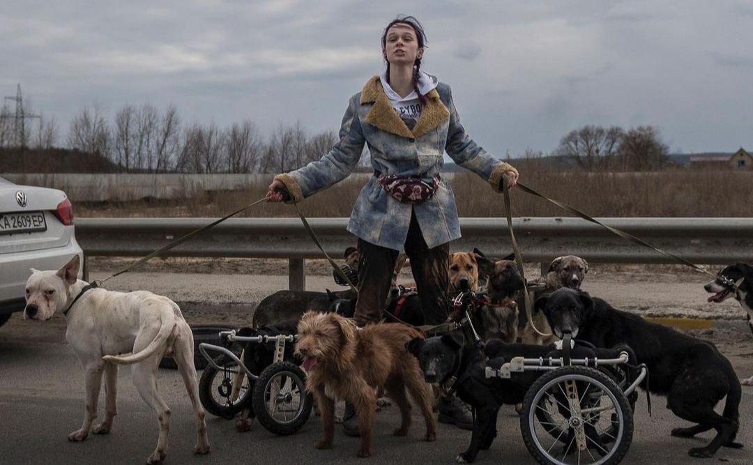 Фото війни в Україні, що вразили весь світ