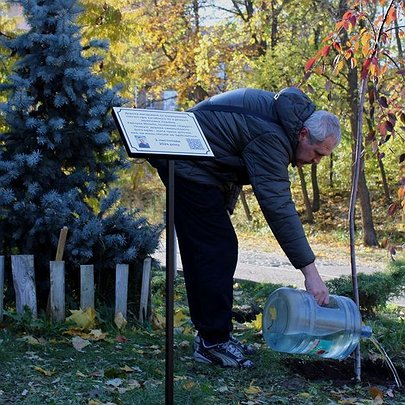 У Києві висадили плакучі дерева в пам'ять про загиблого бійця "Азова" - 412x412