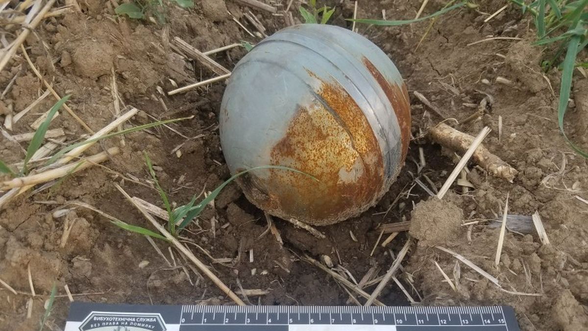 Киян попередили про небезпеку нерозірваних касетних боєприпасів: який вони мають вигляд