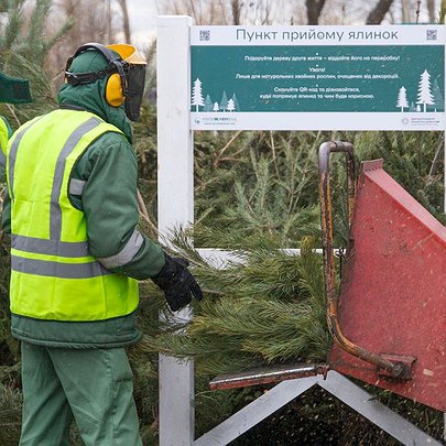 Де в Києві здати ялинку на утилізацію: адреси пунктів прийому - 412x412