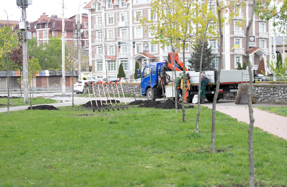 Від початку року у Києві висадили 1000 дерев та понад 9000 кущів