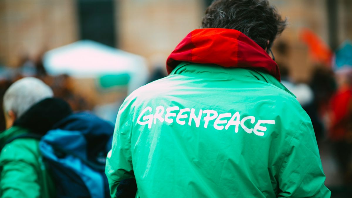 Greenpeace відкрила офіс у Києві: чим займатимуться екологи