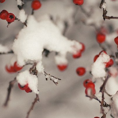 Синоптики спростували, що Україну засипле снігом - 412x412