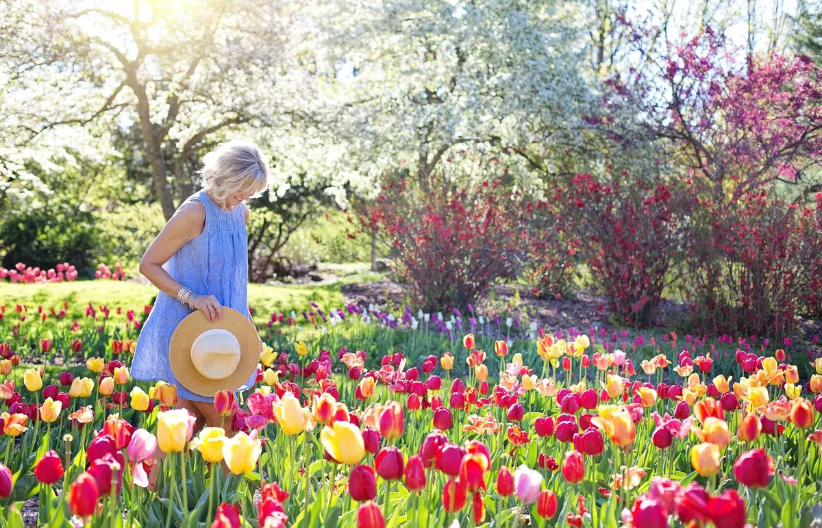 Сотні тисяч тюльпанів, ірисів та крокусів: у Києві відкриється виставка весняних квітів