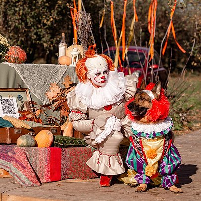 У столиці проведуть пікнік для собак Holy Doggy: Halloween Edition - 412x412